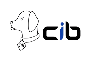 CIB Security Inc | Esentia Systems